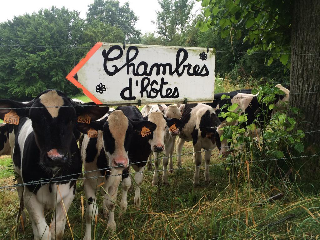Les Chambres De Ribeaufontaine Dorengt Luaran gambar